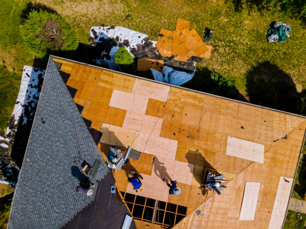 Best Emergency Roof Repair  in Brier, WA