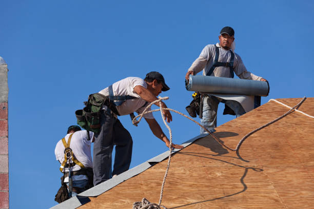 Best Roof Waterproofing Services  in Brier, WA