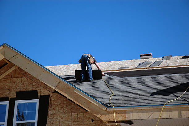 Best Affordable Roof Replacement  in Brier, WA