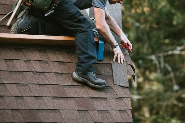 Best Roof Maintenance Services  in Brier, WA